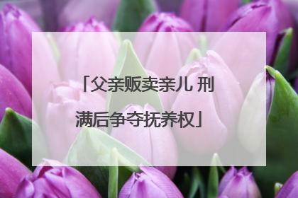 父亲贩卖亲儿 刑满后争夺抚养权