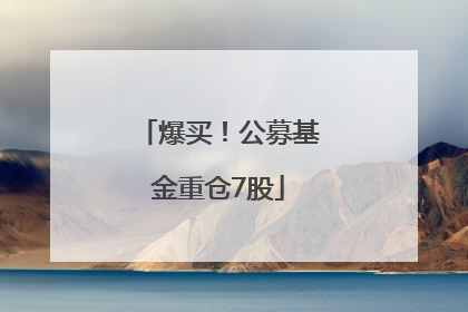 爆买！公募基金重仓7股