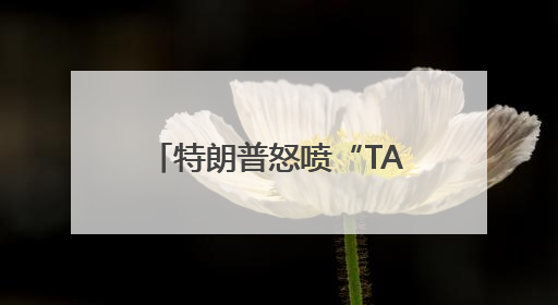 特朗普怒喷“TACO交易”：不是胆怯，是谈判！