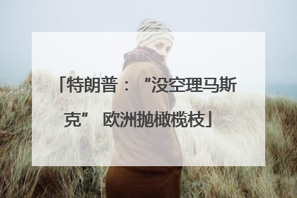 特朗普：“没空理马斯克” 欧洲抛橄榄枝