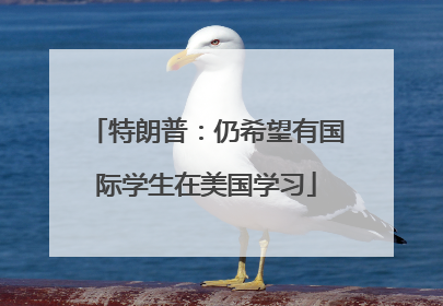 特朗普：仍希望有国际学生在美国学习