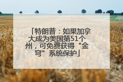 特朗普：如果加拿大成为美国第51个州，可免费获得“金穹”系统保护