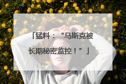 猛料：“马斯克被长期秘密监控！”