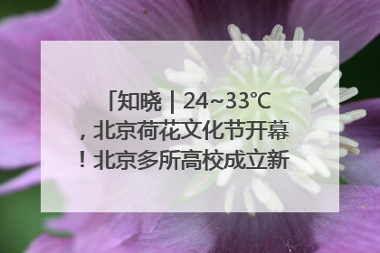 知晓｜24~33℃，北京荷花文化节开幕！北京多所高校成立新学院！北京将推物业分级服务！市中小学教师资格考试开始报名！