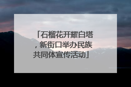 石榴花开耀白塔，新街口举办民族共同体宣传活动