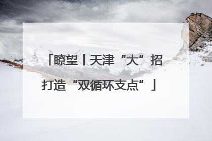 瞭望丨天津“大”招打造“双循环支点”