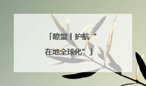 瞭望丨护航“在地全球化”
