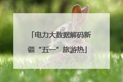 电力大数据解码新疆“五一”旅游热