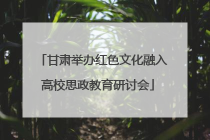 甘肃举办红色文化融入高校思政教育研讨会