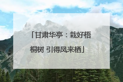 甘肃华亭：栽好梧桐树 引得凤来栖