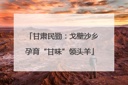 甘肃民勤：戈壁沙乡孕育“甘味”领头羊