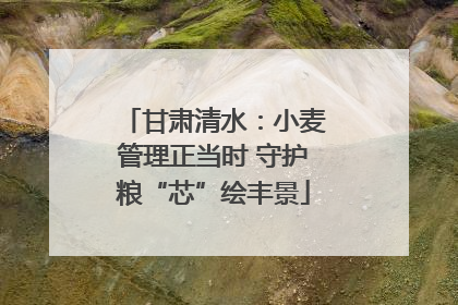 甘肃清水：小麦管理正当时 守护粮“芯”绘丰景