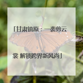 甘肃镇原：一袭剪云裳 解锁跨界新风尚