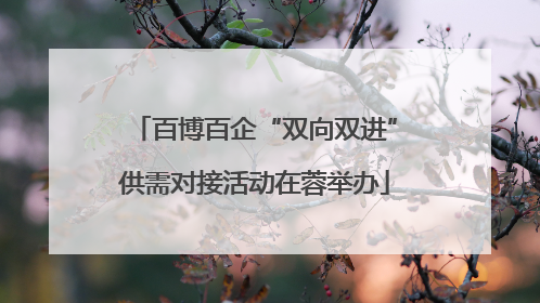 百博百企“双向双进”供需对接活动在蓉举办