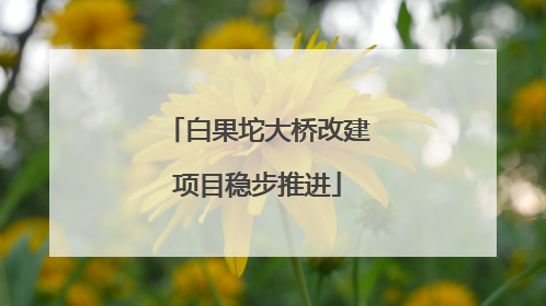 白果坨大桥改建项目稳步推进
