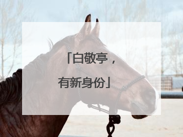 白敬亭，有新身份
