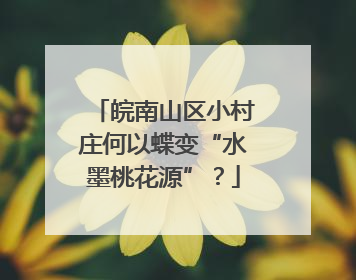 皖南山区小村庄何以蝶变“水墨桃花源”？