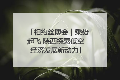 相约丝博会｜乘势起飞 陕西探索低空经济发展新动力