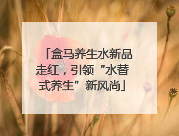 盒马养生水新品走红，引领“水替式养生”新风尚
