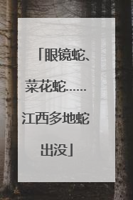 眼镜蛇、菜花蛇……江西多地蛇出没