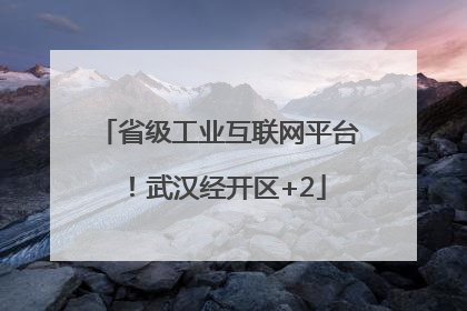 省级工业互联网平台！武汉经开区+2