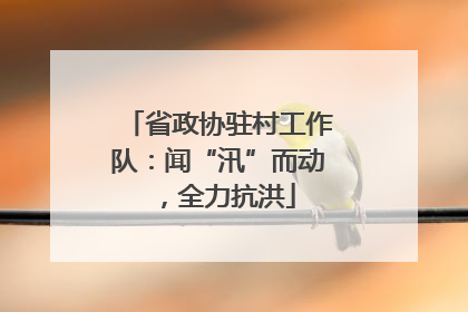 省政协驻村工作队：闻“汛”而动，全力抗洪
