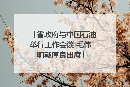 省政府与中国石油举行工作会谈 毛伟明戴厚良出席
