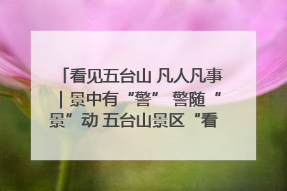 看见五台山 凡人凡事｜景中有“警” 警随“景”动 五台山景区“看得见”的平安守护