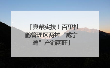 真帮实扶！百里杜鹃管理区两村“威宁鸡”产销两旺