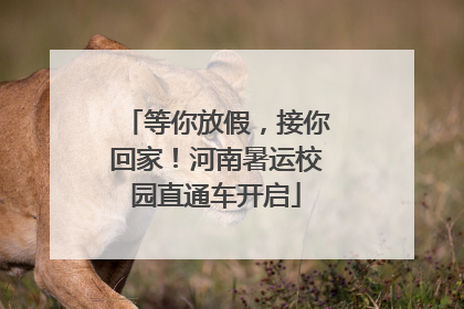 等你放假，接你回家！河南暑运校园直通车开启