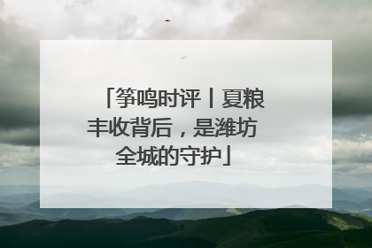 筝鸣时评丨夏粮丰收背后，是潍坊全城的守护