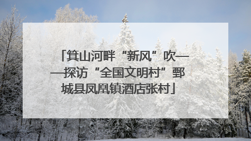 箕山河畔“新风”吹——探访“全国文明村”鄄城县凤凰镇酒店张村