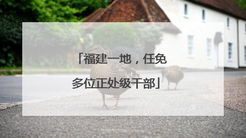 福建一地，任免多位正处级干部