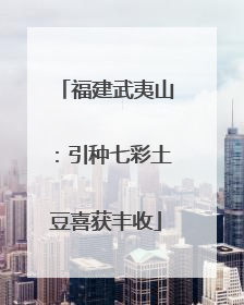 福建武夷山：引种七彩土豆喜获丰收