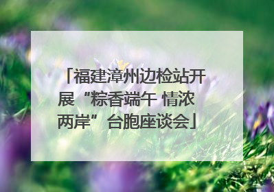 福建漳州边检站开展“粽香端午 情浓两岸”台胞座谈会