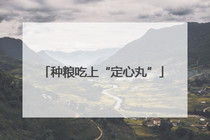 种粮吃上“定心丸”