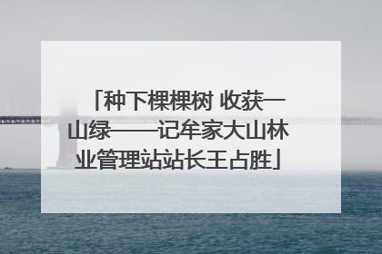 种下棵棵树 收获一山绿——记牟家大山林业管理站站长王占胜