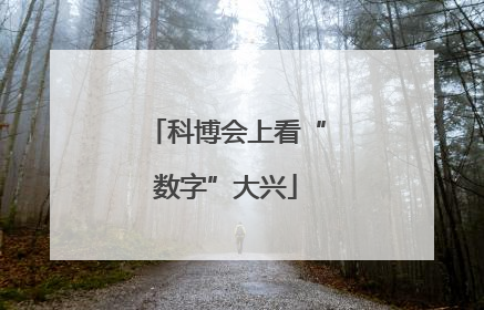 科博会上看“数字”大兴
