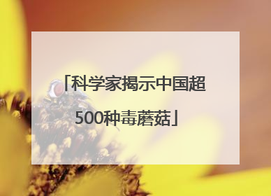 科学家揭示中国超500种毒蘑菇