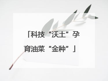 科技“沃土”孕育油菜“金种”