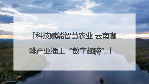 科技赋能智慧农业 云南咖啡产业插上“数字翅膀”