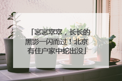 窸窸窣窣，长长的黑影一闪而过！北京有住户家中蛇出没