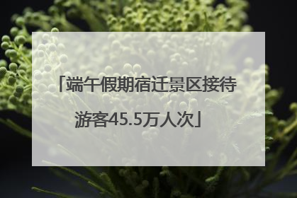 端午假期宿迁景区接待游客45.5万人次