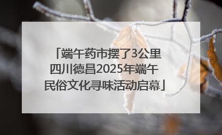 端午药市摆了3公里 四川德昌2025年端午民俗文化寻味活动启幕