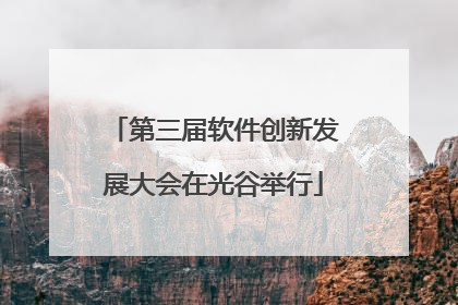 第三届软件创新发展大会在光谷举行