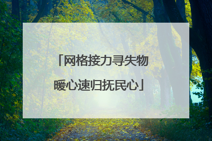 网格接力寻失物 暖心速归抚民心