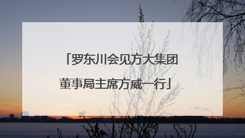 罗东川会见方大集团董事局主席方威一行