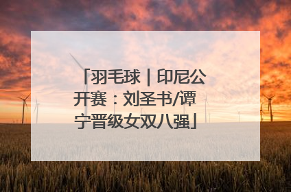 羽毛球｜印尼公开赛：刘圣书/谭宁晋级女双八强
