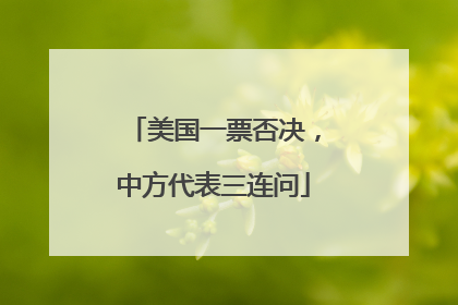 美国一票否决，中方代表三连问