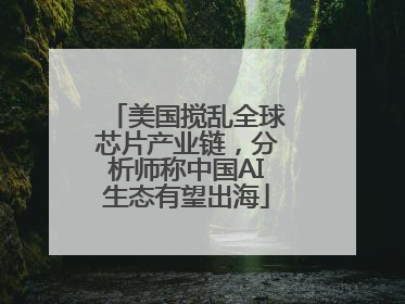 美国搅乱全球芯片产业链，分析师称中国AI生态有望出海